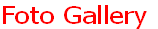 Foto Gallery